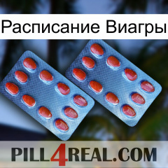 Расписание Виагры 05